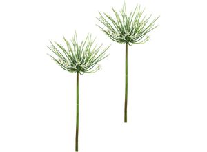 4019844812515 - Kunstblume IGEA Allium Zierlauch weiß B19cm H62cm L19cm Kunststoff Kunstpflanzen Stielblume künstliche Blumen 2er Set