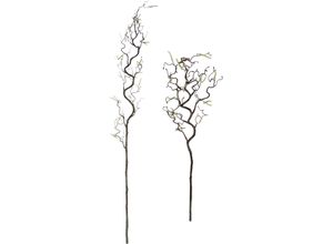 4019844812775 - IGEA Kunstblume »Korkenzieherzweig Künstlicher Dekozweig« Kunstzweig 2er Set