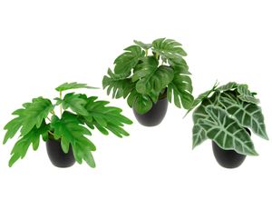 4019844818876 - Kunstpflanze IGEA Künstliches Zimmerpflanzen-Set grün B16cm H17cm L14cm Polyester Kunstpflanzen Im Topf 3er Set Grünpflanzen Zimmerpflanze Monstera Philo Calathea