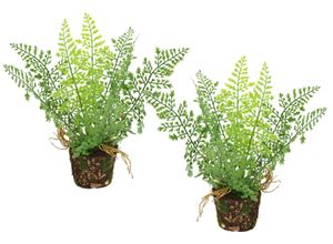 4019844818913 - Kunstpflanze IGEA Künstlicher Waldfarn im Topf grün B14cm H24cm L12cm Kunststoff Kunstpflanzen 2er Set Farn Büsche Pflanze Deko Grünpflanze Waldpflanze Zimmerpflanze 4019844818913 - Kunstpflanze IGEA Künstlicher Waldfarn im Topf grün B14cm H24cm L12cm Kunststoff Kunstpflanzen 2er Set Farn Büsche Pflanze Deko Grünpflanze Waldpflanze Zimmerpflanze