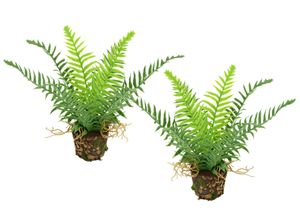 4019844818937 - Kunstpflanze IGEA Künstlicher Waldfarn im Topf grün B20cm H25cm L14cm Kunststoff Kunstpflanzen 2er Set Farn Büsche Pflanze Deko Grünpflanze Waldpflanze Zimmerpflanze