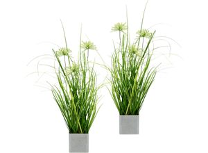 4019844823931 - Kunstpflanze IGEA Grasbusch im Topf grün B13cm H32cm L13cm Kunststoff Kunstpflanzen 2er Set Gräser Kunstgras Dekogras Grünpflanze Pflanze Kunstblume 4019844823931 - Kunstpflanze IGEA Grasbusch im Topf grün B13cm H32cm L13cm Kunststoff Kunstpflanzen 2er Set Gräser Kunstgras Dekogras Grünpflanze Pflanze Kunstblume