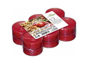 4019916503631 - Duftteelichter Jumbo Apfel-Zimt h 23 cm ø 56 cm 12 er Pack Duftteelichte - Villa Verde