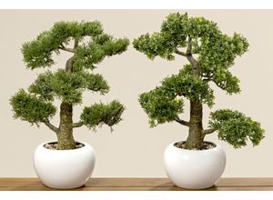 4020607421134 - Kunstpflanze BONSAI (H 48 cm)