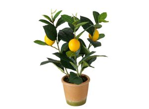 4020607969834 - Kunstpflanze BOLTZE Kunstpflanzen Gr B H 235 cm x 342 cm bunt Künstliche Zimmerpflanzen 4020607969834 - Kunstpflanze BOLTZE Kunstpflanzen Gr B H 235 cm x 342 cm bunt Künstliche Zimmerpflanzen