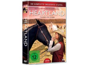 4020628590147 - Heartland Paradies für Pferde - Die komplette Staffel 13 (DVD)