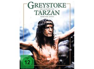 4020628605551 - Greystoke - Die Legende von Tarzan Herr der Affen Mediabook (Blu-ray)