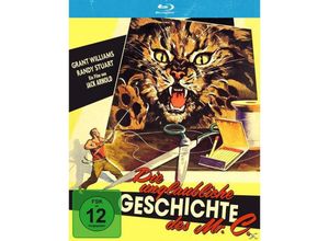 4020628858216 - Die unglaubliche Geschichte des Mr C (Blu-ray)