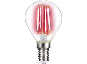 4020856853106 - LM85310 led eek g (a - g) E14 Tropfenform 4 w Rot (ø x l) 45 mm x 78 mm Filament 1 St - Lightme