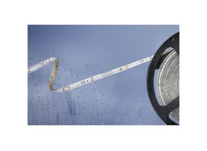 4021553096742 - 51540428 51540428 LED-Streifen mit offenem Kabelende 12 v 5 m Warmweiß 1 St - Barthelme Basic