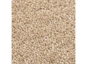 4021937181156 - BODENMEISTER Teppichboden Veloursteppich Pegasus Teppiche Meterware Wohnzimmer Schlafzimmer Kinderzimmer Breite 400500 cm Gr B L 650 cm x 400 cm 10 mm 1 St beige (hellbeige) Teppichboden