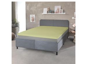 4024008168087 - DREAMTEX Topper + Boxspring SBT