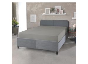 4024008168100 - DREAMTEX Topper + Boxspring SBT