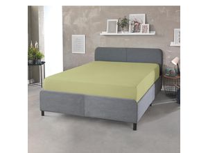 4024008168124 - DREAMTEX Topper + Boxspring SBT