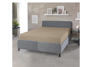 4024008168131 - DREAMTEX Topper + Boxspring SBT