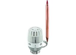 4024052275717 - Thermostat-Kopf k 40-70 GradC Kapillarrohrlänge 2 m weiß 6602-00500 - Heimeier
