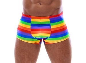 4024144288229 - Pants in Regenbogenfarben