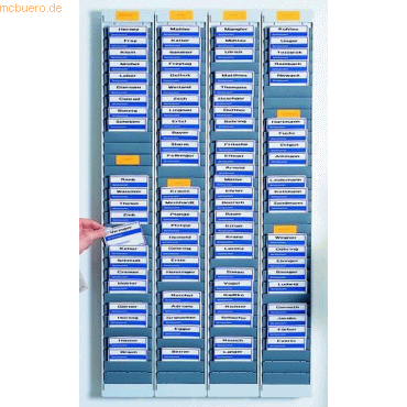 4024158032016 - Chipkartentafel C mit 45mm Sichtbereich H1090xB115xT21mm anth