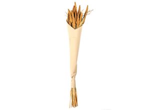 4024433007470 - Setarea Pflanze gelb (LBH 75x10x10 cm) ASA SELECTION 4024433007470 - Setarea Pflanze gelb (LBH 75x10x10 cm) ASA SELECTION