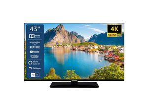 4024862122645 - D43U660X5CWI 43 Zoll LED Fernseher Smart TV 4K UHD Alexa Built-in inkl 6 Monate gratis HD+