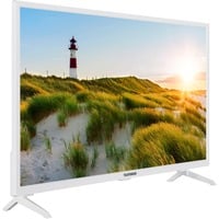 4024862123970 - TELEFUNKEN XH32SN550S-W 32 Zoll Fernseher Smart TV (HD Ready HDR Triple-Tuner) - Inkl 6 Monate HD