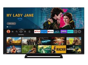 4024862133276 - 65 Zoll Fernseher Fire TV (4K UHD Smart TV Dolby Vision HDR Triple-Tuner Alexa Built-In)