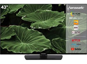 4024862138561 - F (A bis G) HANSEATIC LED-Fernseher Fernseher schwarz LED Fernseher Bestseller