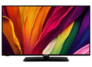 4024862139919 - TELEFUNKEN D43U551X1CWI 43 Zoll Fernseher Smart TV (4K Ultra HD HDR Dolby Vision Triple-Tuner Dol