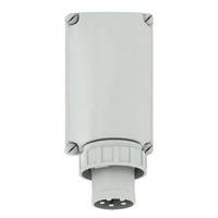 4024941242417 - Bals Wandgerätestecker 125A 5p 24241 >50V 1h IP67