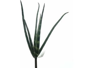 4025029091965 - Sperling - Aloe Vera Grün gestreift 23 cm - Kunstpflanzen