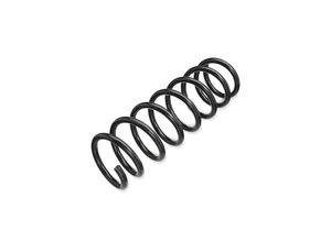 4025258685386 - Fahrwerksfeder TOYOTA 36-200160 481310D280481310D320 FedernFahrwerksfedernFederSchraubenfederStoßdämpfer Feder