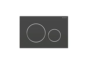 4025416709206 - Sigma 20 Betätigungsplatte 115882141 Platte und Tasten schwarz matt lackiert - Geberit 4025416709206 - Sigma 20 Betätigungsplatte 115882141 Platte und Tasten schwarz matt lackiert - Geberit