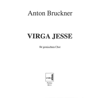 4025531581114 - Virga jesse