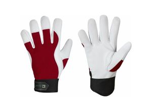 4025888253726 - CARVER ELYSEE® Handschuhe Größe 8