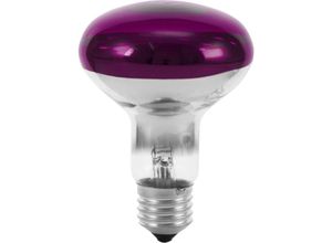 4026397105247 - 9210440U Halogen E27 Reflektor 60 w Violett (ø x l) 80 mm x 110 mm 1 St - Eurolite