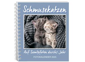 4026411062075 - Schmusekatzen Fotokalender 2025