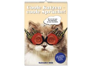 4026411062327 - Coole Katzen Posterkalender 2025