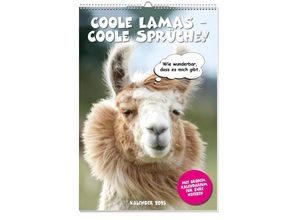 4026411062358 - Coole Lamas Posterkalender 2025