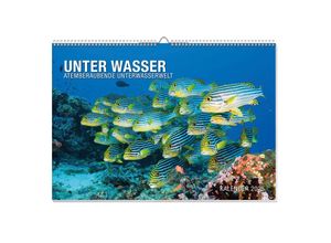 4026411062686 - Unterwasserwelten Premiumkalender 2025