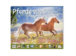 4026411063447 - Pferde Kalenderpaket 2025 9-teilig