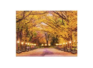 4026411698779 - LED-Wandbild Herbstweg 40 x 30 cm