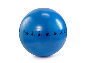 4026411708294 - Orbisana Gymnastikball Exercise 65 cm