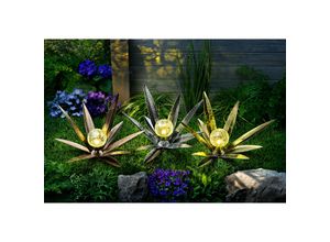 4026411717845 - Solarleuchte Agave 3er-Set