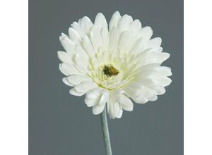 4027234238241 - Kunstblume Gerbera