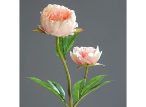 4027234256962 - Kunstblume Päonie