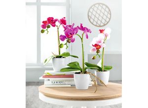 4027234300511 - Kunstblume Orchidee (H 28 cm)