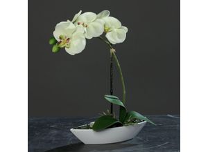 4027234323114 - Kunstblume Orchidee (H 28 cm) H 28 cm beige Pflanze Kunstpflanze Zimmerpflanze