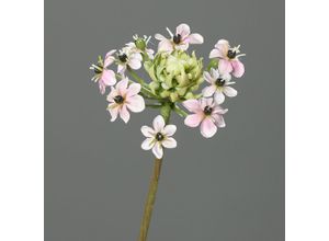 4027234387178 - Kunstblume Ornithogalum (H 64 cm)