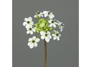 4027234387185 - Kunstblume Ornithogalum (H 64 cm)