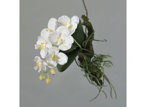 4027234875651 - Kunstblume ORCHIDEE (H 29 cm)